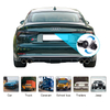 CVBS Auto Waterproof Night Shockproof Rearview Camera