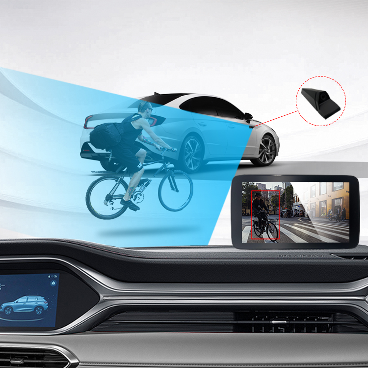 Blind Spot Left Right 2 Side Mirror Camera Dual Monitor System BSD DVR For Car