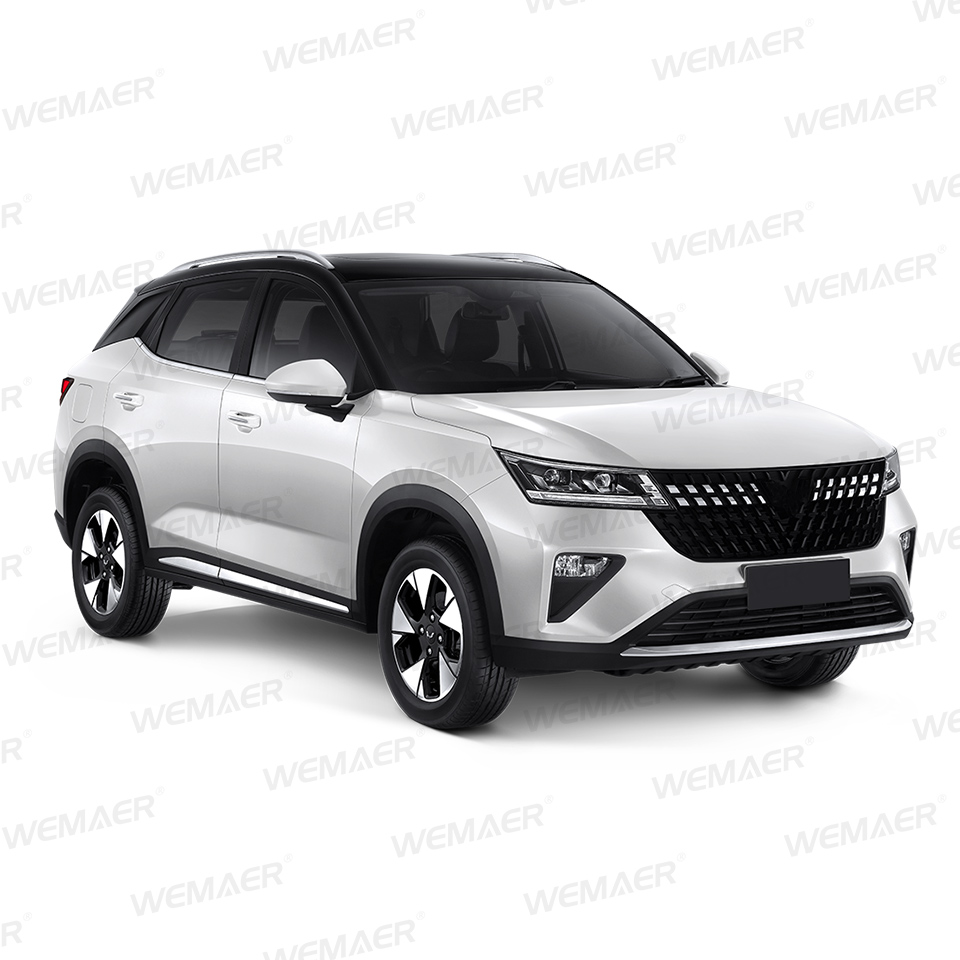 Sistema de vista envolvente de 360 ​​° con decodificador integrado para Wuling Bingo Alvez Air EV